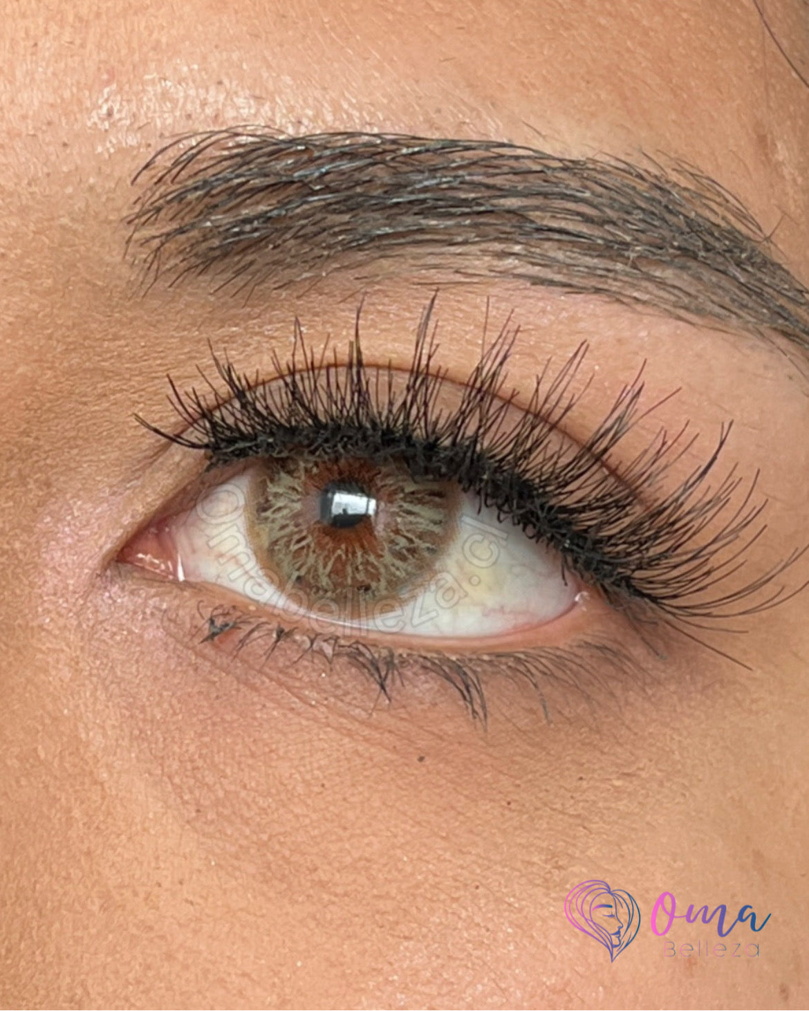 Nile Hazel - Urban Layer