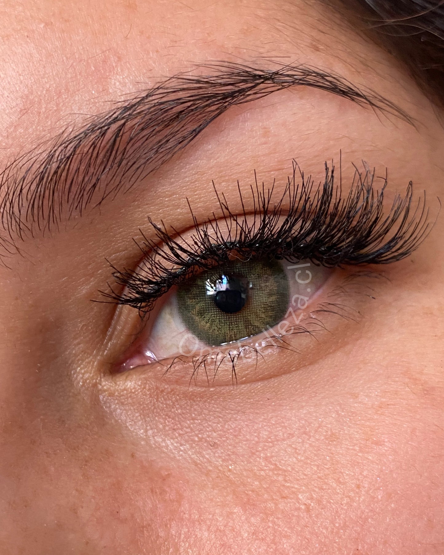 Euphoria Intuition (Green) - Freshlady