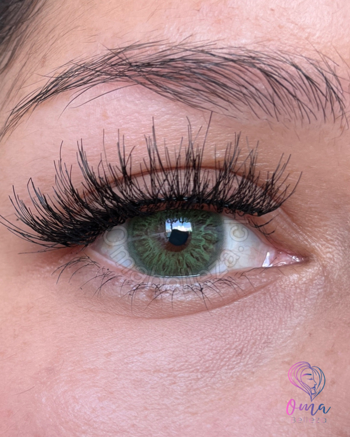 Encounter - Freshlady