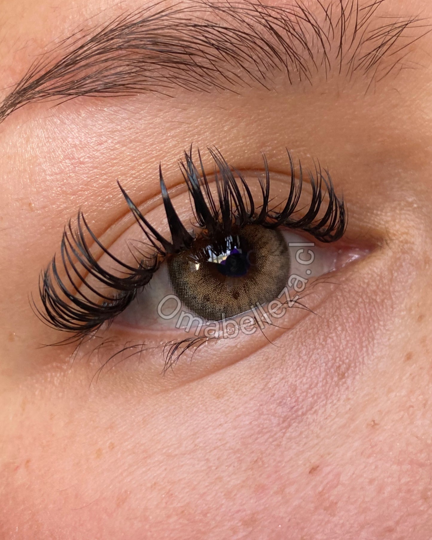 Stunna Girl Nadine (tricolor) - Freshlady