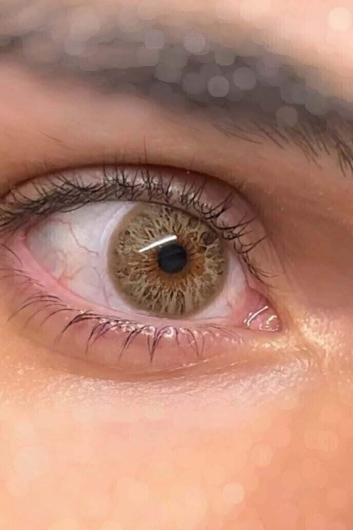 Nile Hazel - Urban Layer