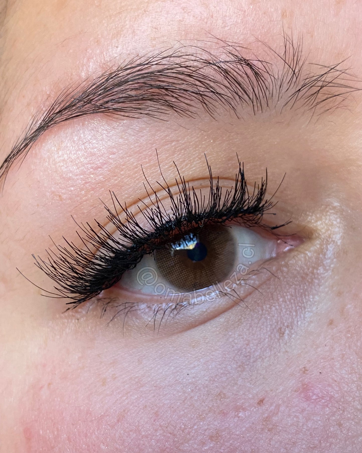 Avela (brown) - Freshlady