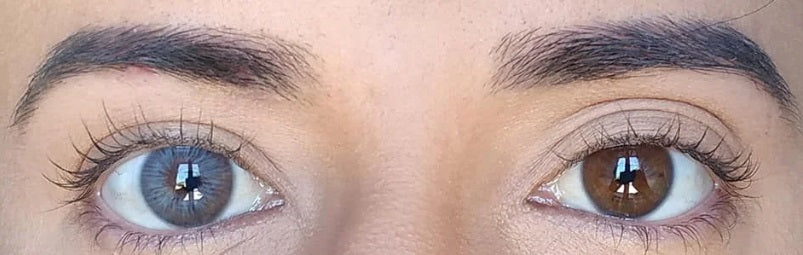 Aurora Blue - Urban Layer