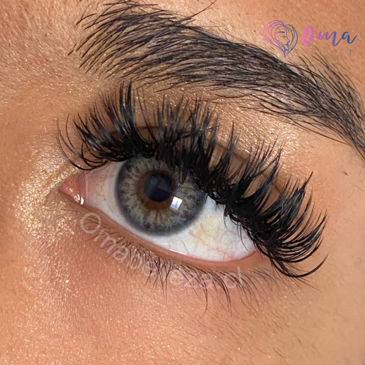 Dna Taylor Blue Gray (tricolor) - Freshlady