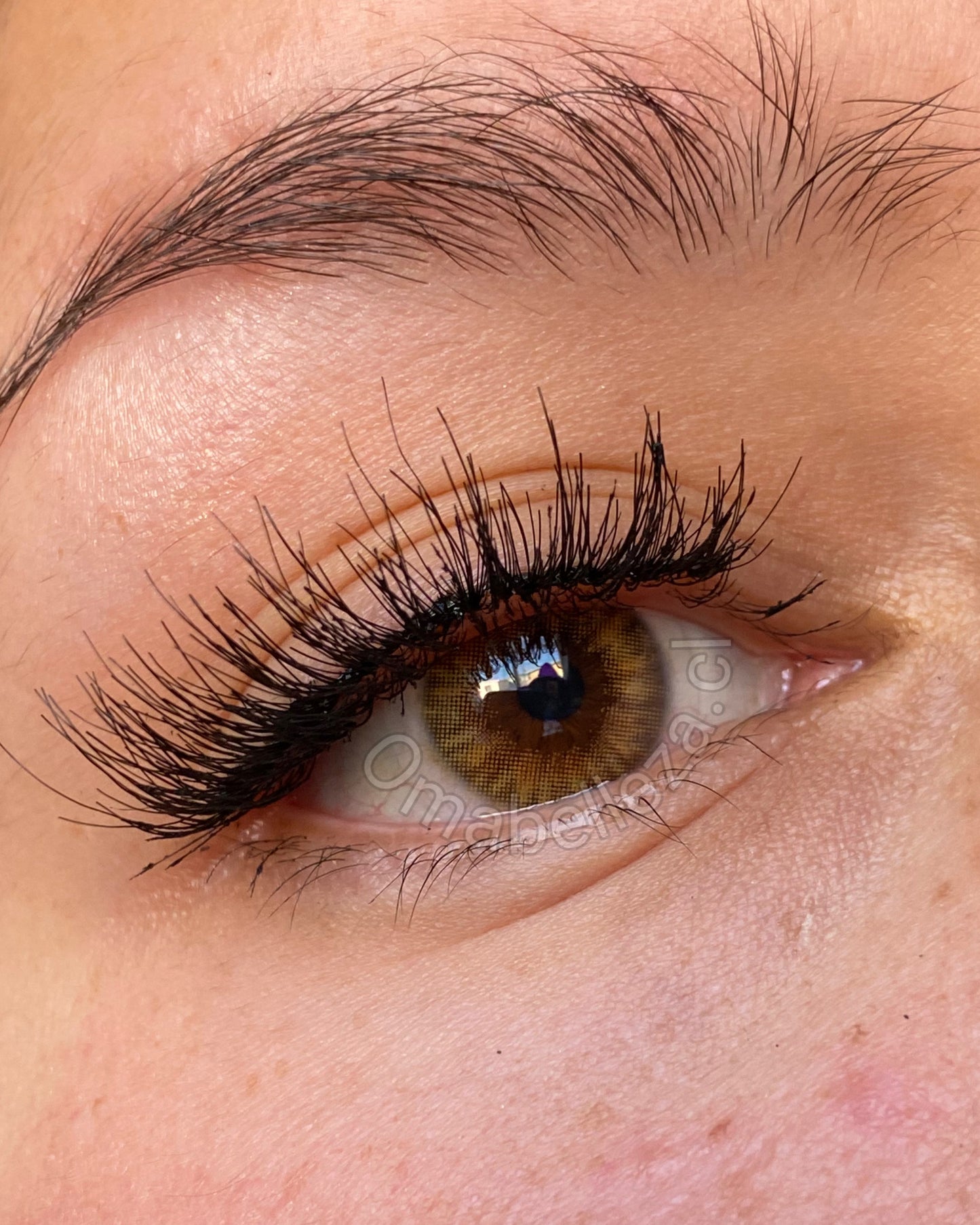 Havana Brown - Urban Layer