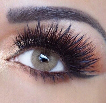 Hazelnut - Freshtone