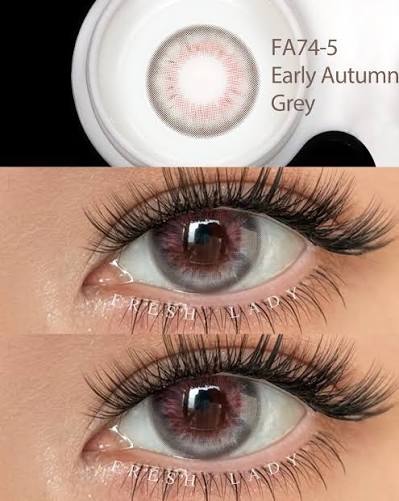 Early Autumn Grey - Freshlady