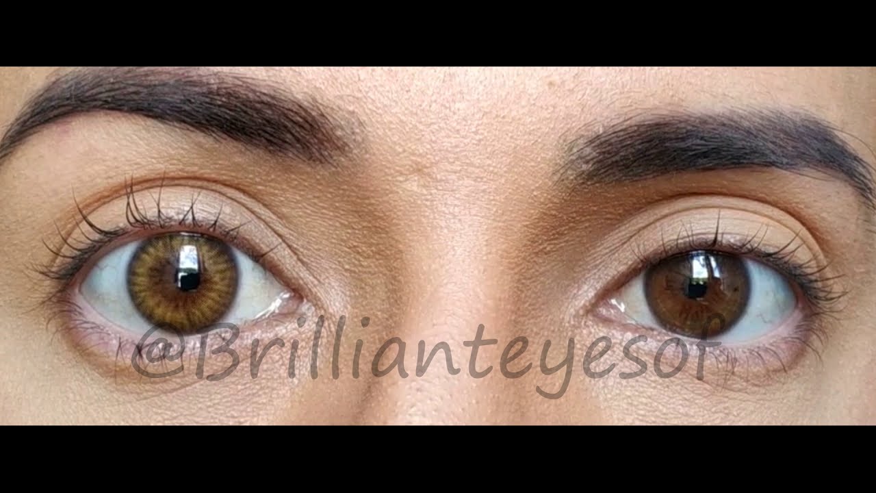 Havana Brown - Urban Layer