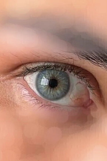 Monaco Blue - Urban Layer