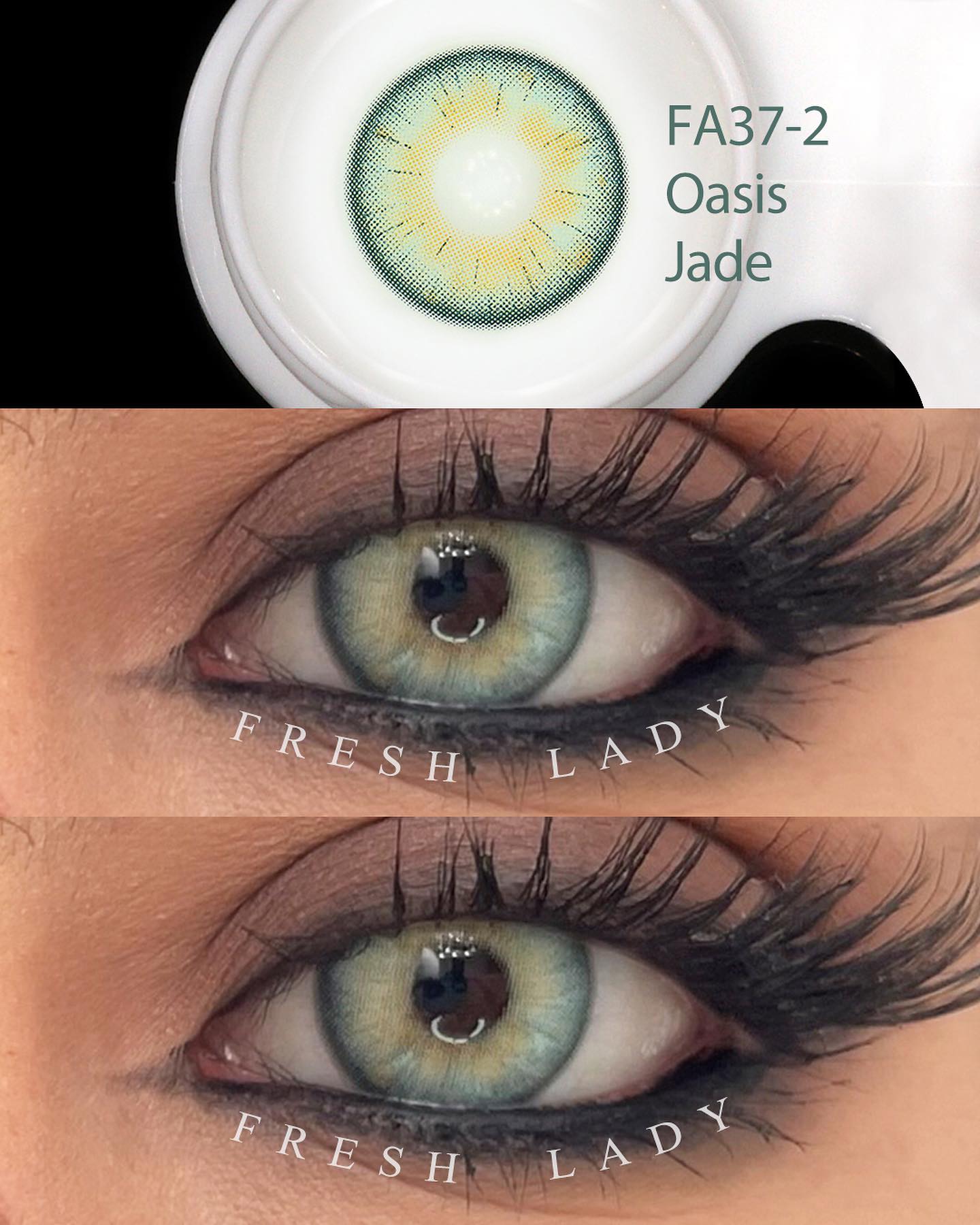 Oasis Jade - Freshlady
