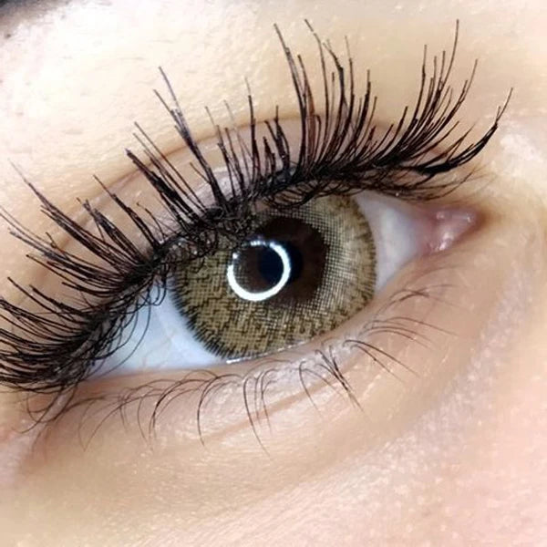 Premium Hazel - Freshtone